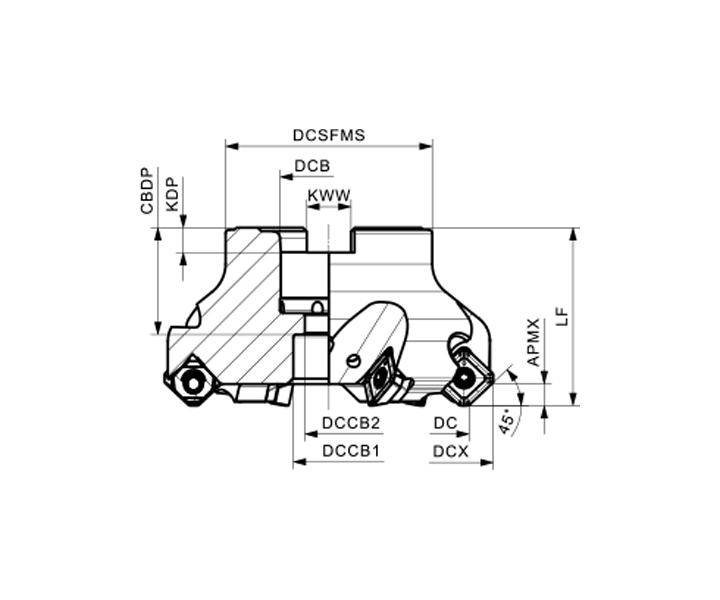 AFM45-250-Z14-A60R-SE12-S
