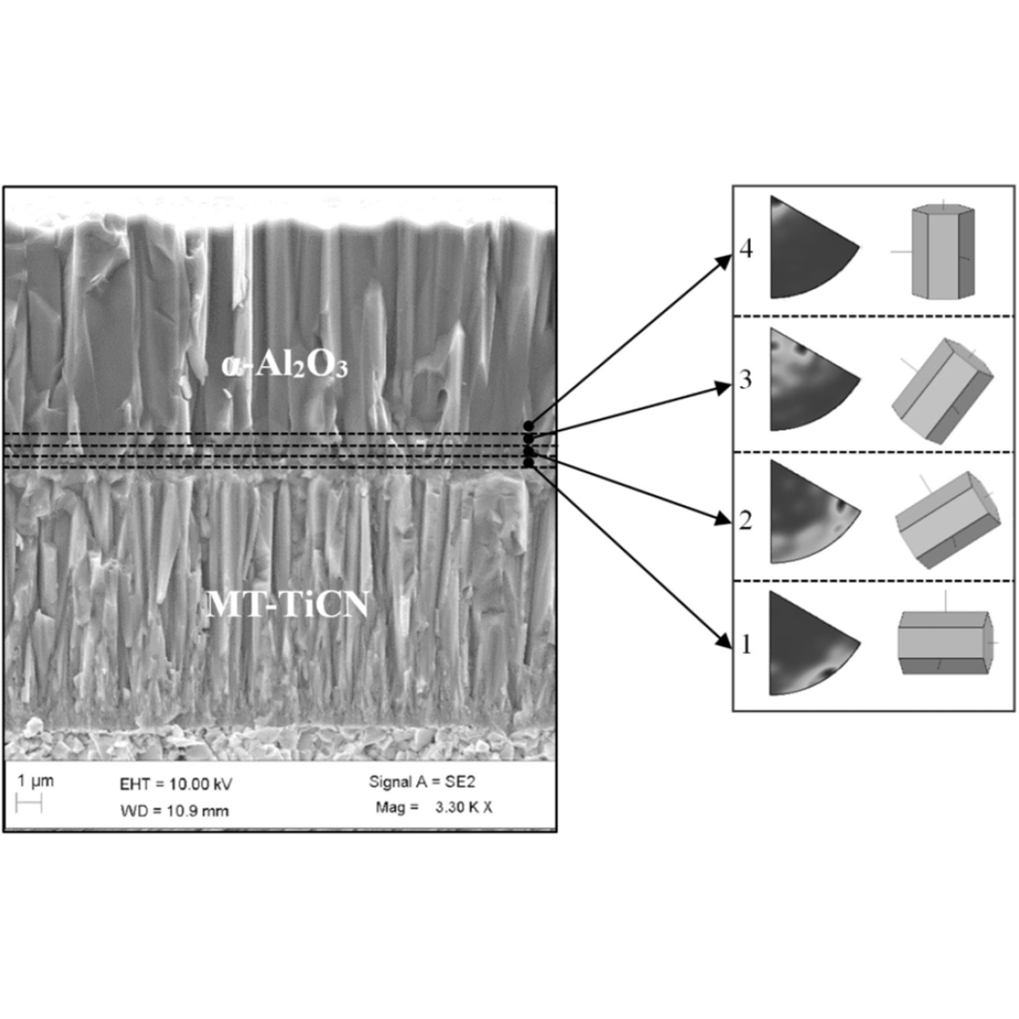 Textured Reinforced Al₂O₃ Coating