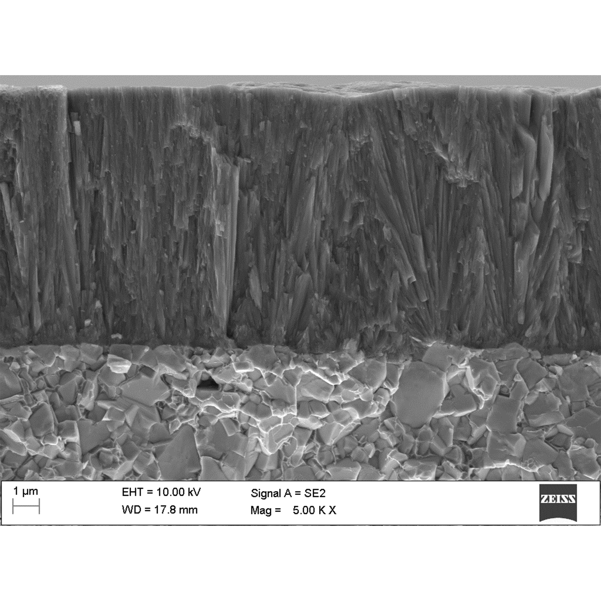 Grain-Refined TiCN Coating